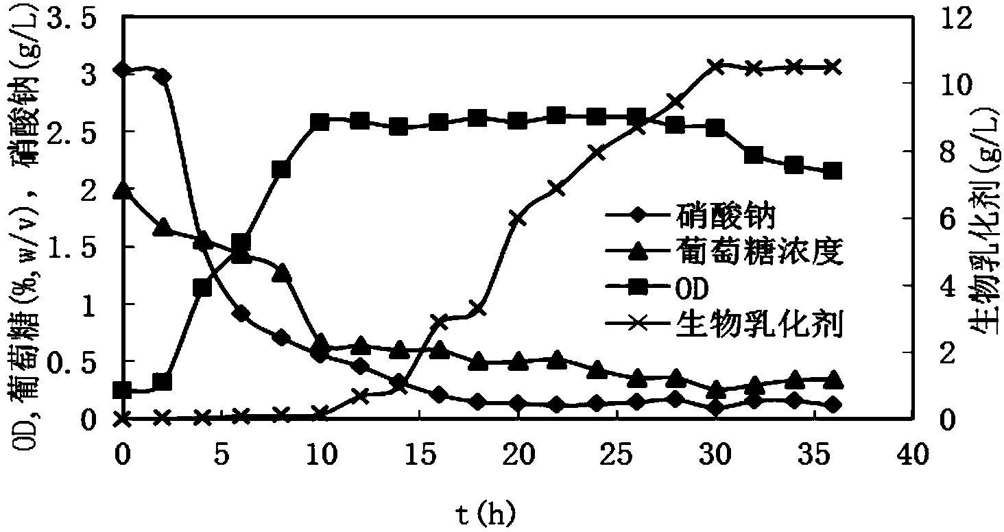 Active thermophilic bacterial strain and applications thereof