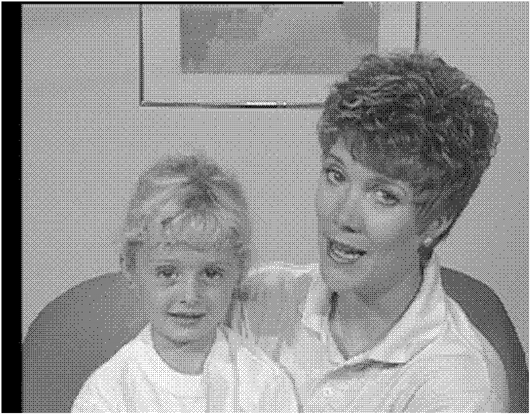 Quick fractal video compression and decompression method