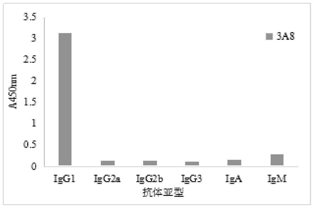 A kind of anti-bovine skeletal muscle troponin I monoclonal antibody and its application