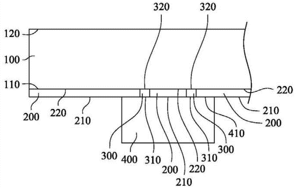 Fingerprint recognition device and manufacturing method thereof