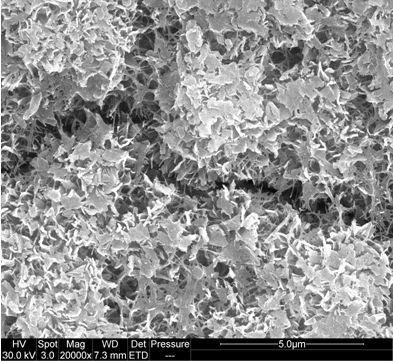 Preparation method of titanium dioxide nanotube film