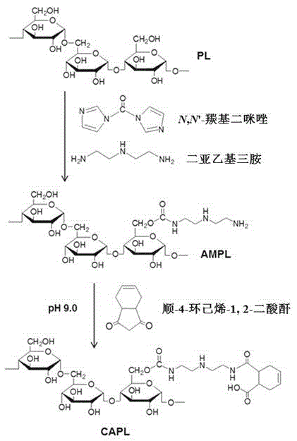 Charge reversal Pulullan derivative and synthesis method and application thereof