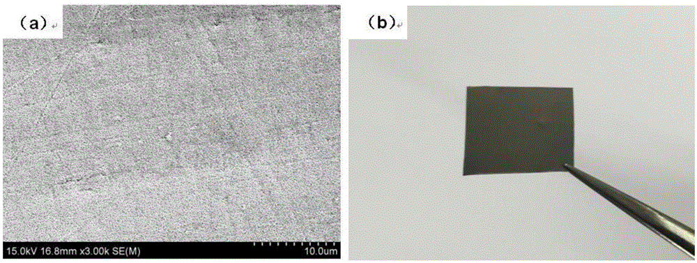 Method for preparing nano porous copper thin film material by magnetron sputtering