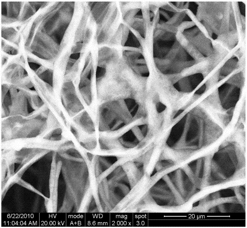 Method for removing heavy metal pollutant from water body by using phanerochete chrysosporium