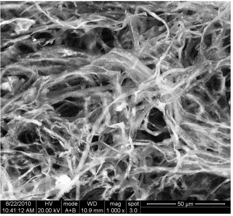 Method for removing heavy metal pollutant from water body by using phanerochete chrysosporium