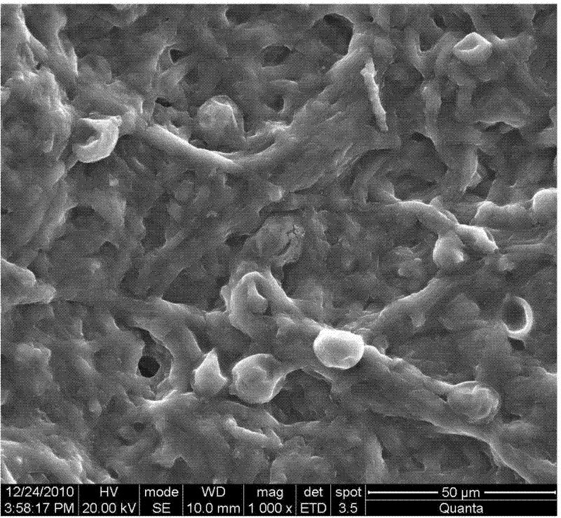 Method for removing heavy metal pollutant from water body by using phanerochete chrysosporium