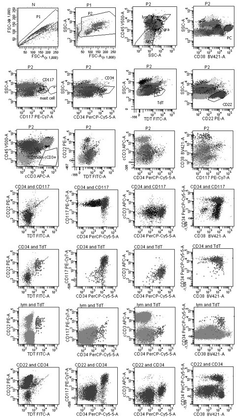 Reagent composition and application thereof for one-step screening and/or diagnosis of clonal diseases