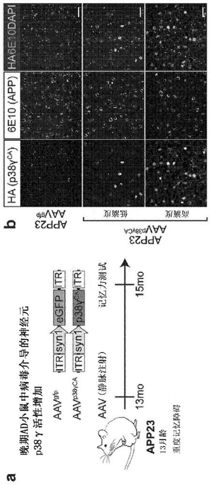 Treatment of tauopathies