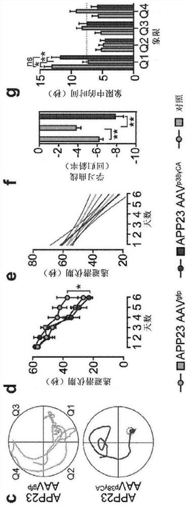 Treatment of tauopathies