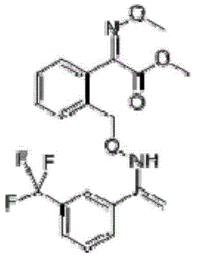 Sterilization composition containing prothioconazole and trifloxystrobin and application thereof