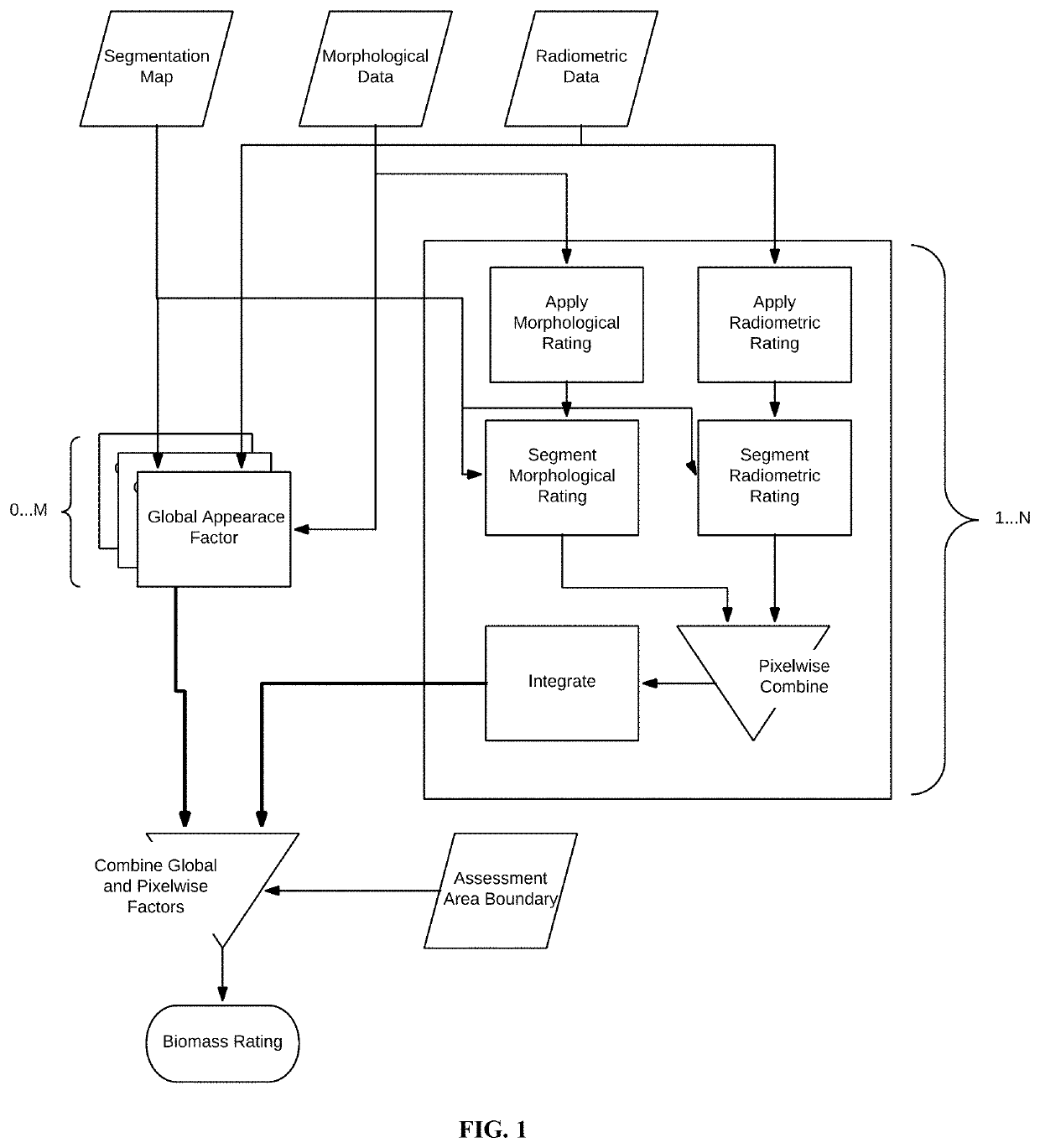 Systems and methods for rating vegetation health and biomass from remotely sensed morphological and radiometric data