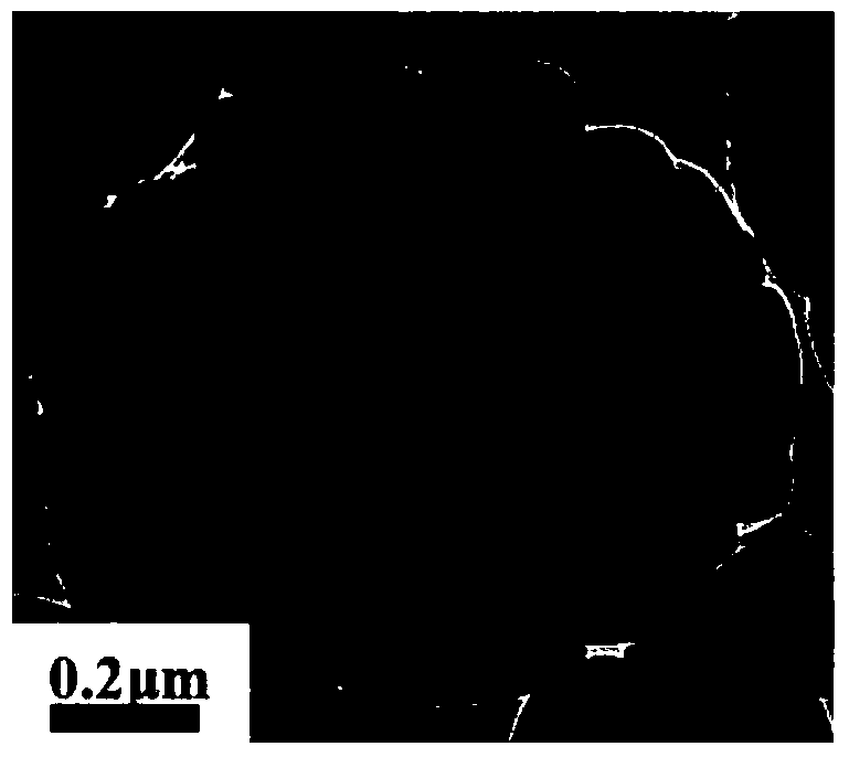 A kind of titanium silicon molecular sieve and its preparation method and application and a kind of method of ring ketone oxidation