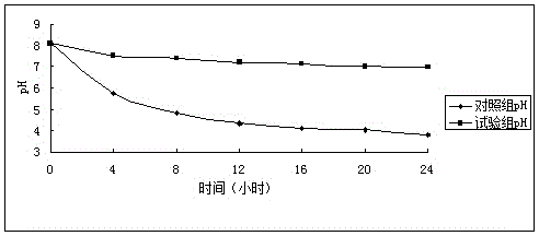 Bacillus natto preparation used for livestock and poultry culturing farm on-site fermentation and application