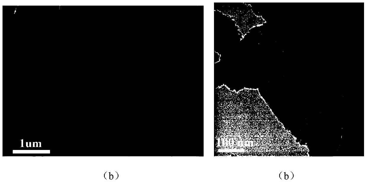 Monodisperse platinum-based two-dimensional metal hydroxide and its in-situ synthesis method and application in purification of volatile oxygenated hydrocarbons