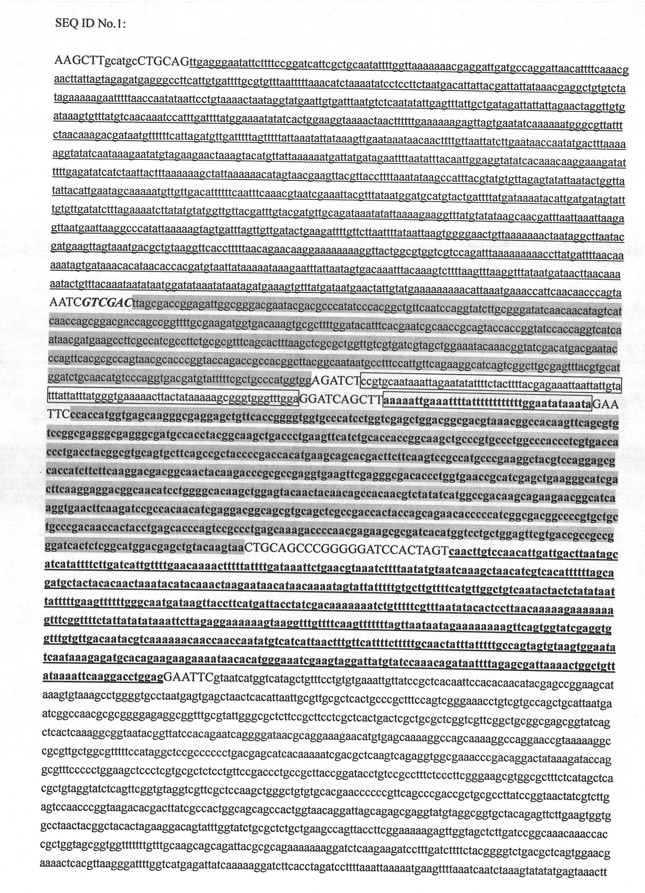 Method for screening non-essential regions for replication of goat pox virus and universal transfer vectors for same