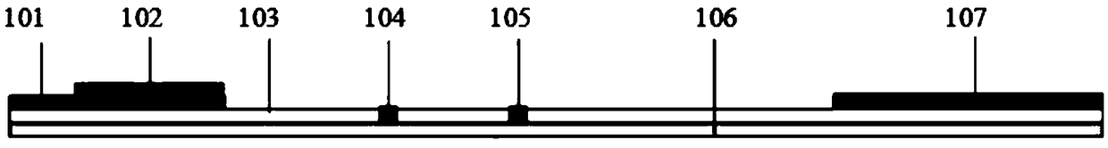 Detection reagent and kit for African swine fever virus and application of detection reagent