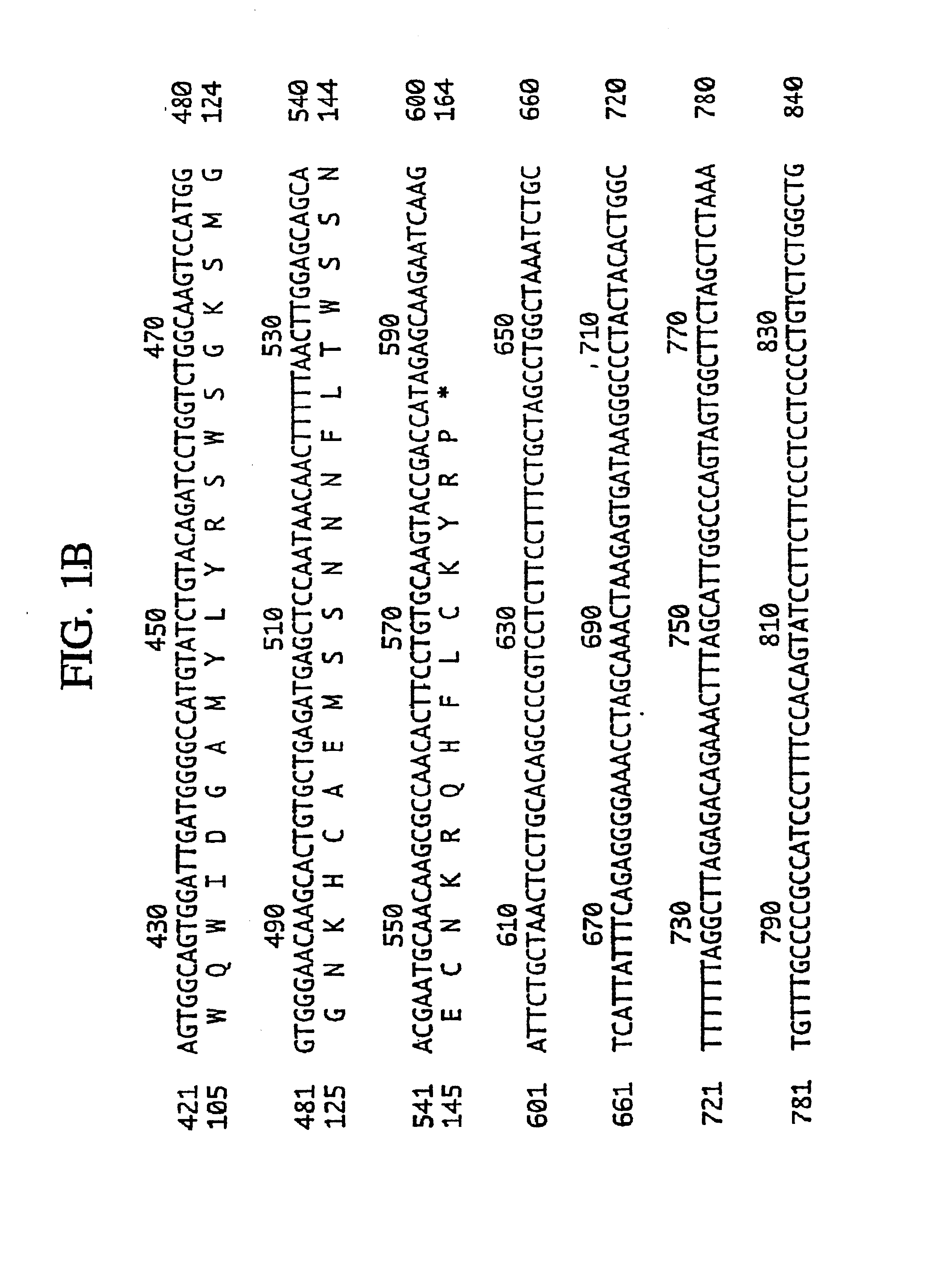 Colon specific gene and protein