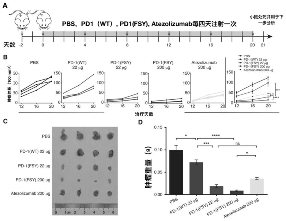 Protein drug combined with immunosuppressive molecule PD-L1