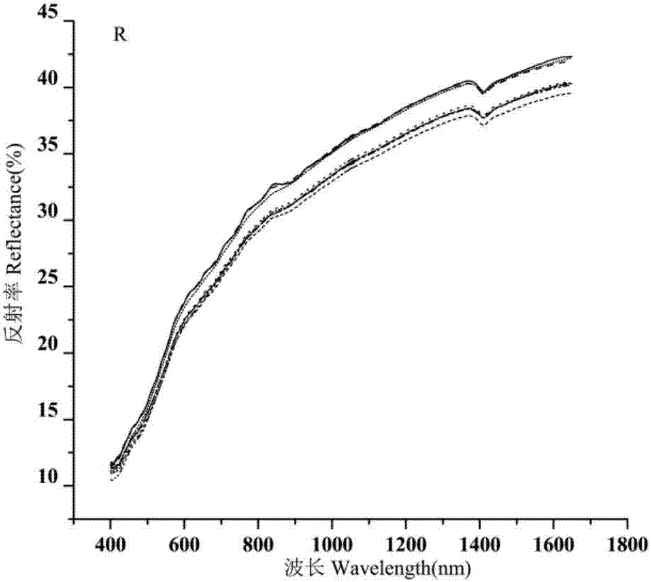 Method for determining content of nitrate ions in secondary saline soil with near infrared spectrum