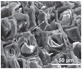 A kind of ammonium polyphosphate/sio  <sub>2</sub> Composite airgel type flame retardant reinforced wood and preparation method thereof