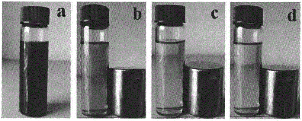 Magnetic hydrophilic molecular imprinting composite material and preparation method thereof