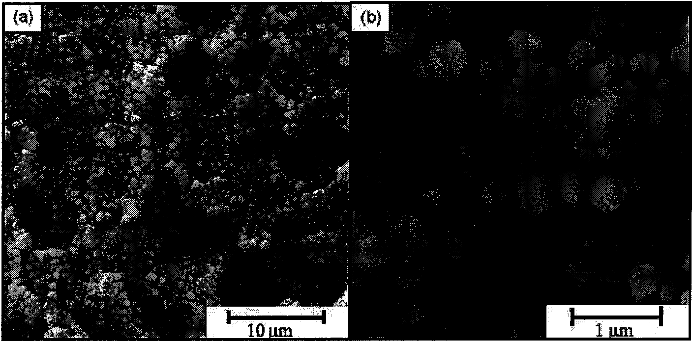 Electrocatalysis wet-type peroxide oxidizing method for high-effect waste water processing and devices thereof