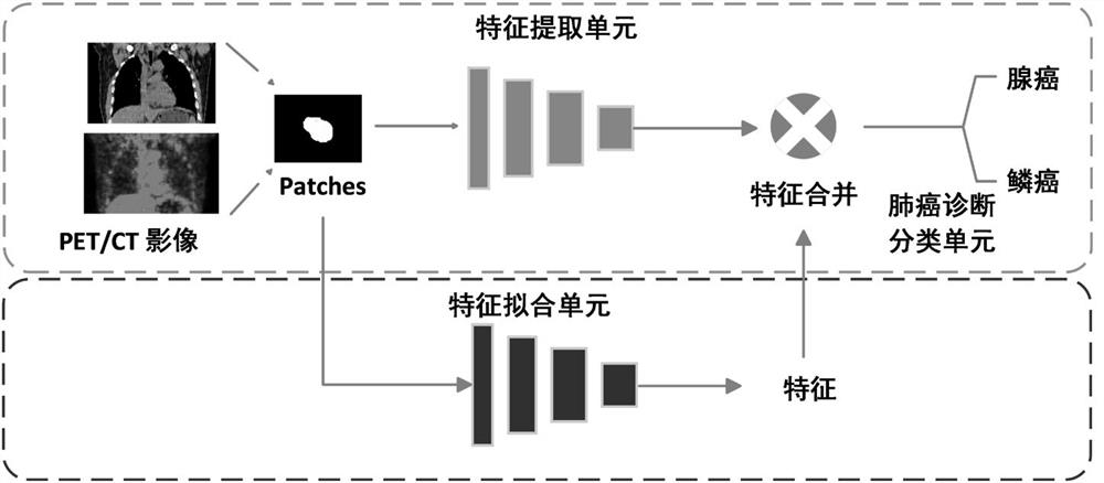 A pet/ct automatic lung cancer diagnosis and classification system based on feature fitting and its construction method