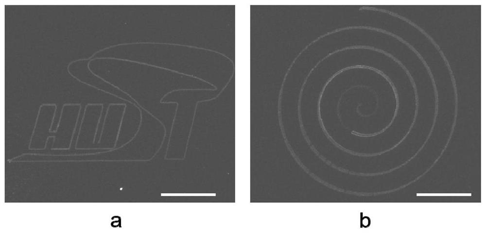 Metal oxide micro-nano structure as well as preparation method and application thereof