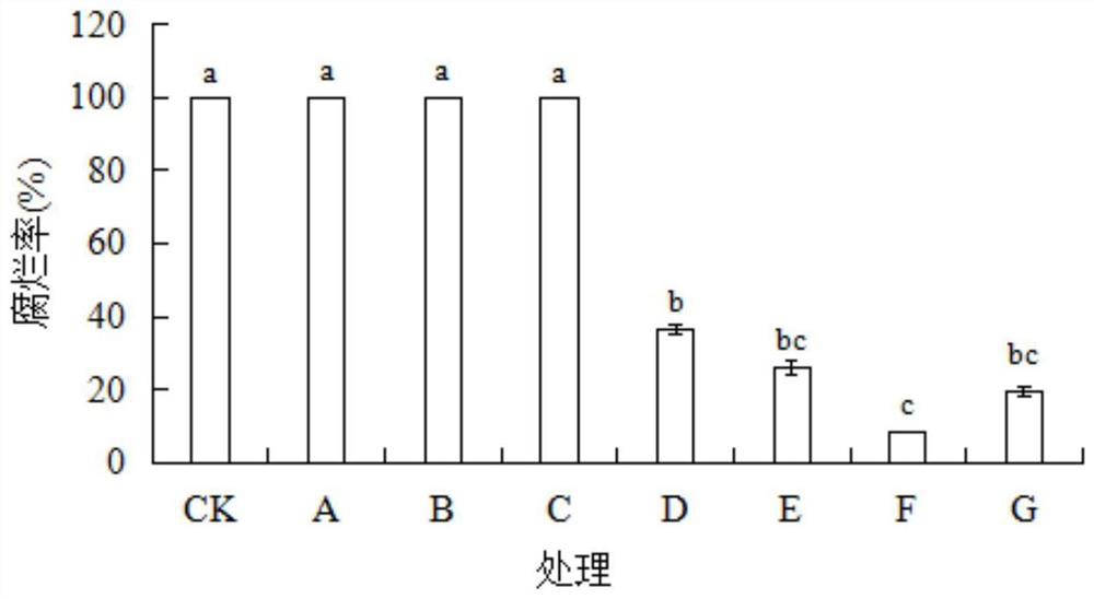 Application of combination of alginate oligosaccharide and pichia guilliermondii in prevention and control of postharvest penicilliosis of pear fruits and storage and preservation of pear fruits