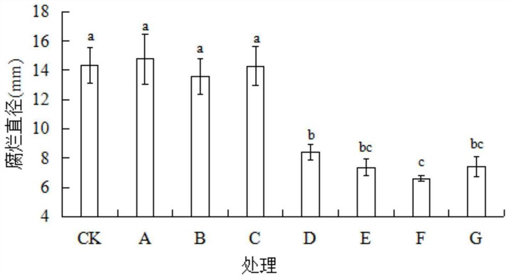 Application of combination of alginate oligosaccharide and pichia guilliermondii in prevention and control of postharvest penicilliosis of pear fruits and storage and preservation of pear fruits