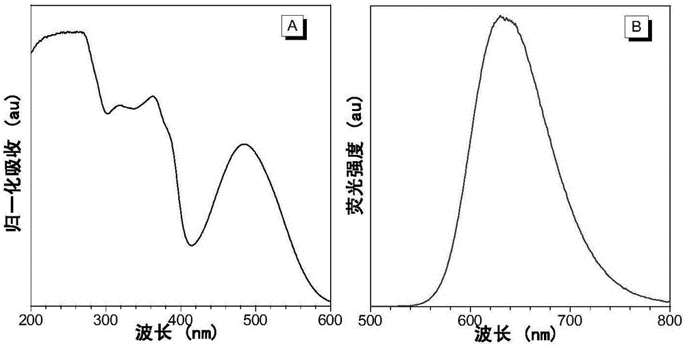 Antibody-modified fluorescent nanoparticles and application thereof in targeted imaging of cancer cells