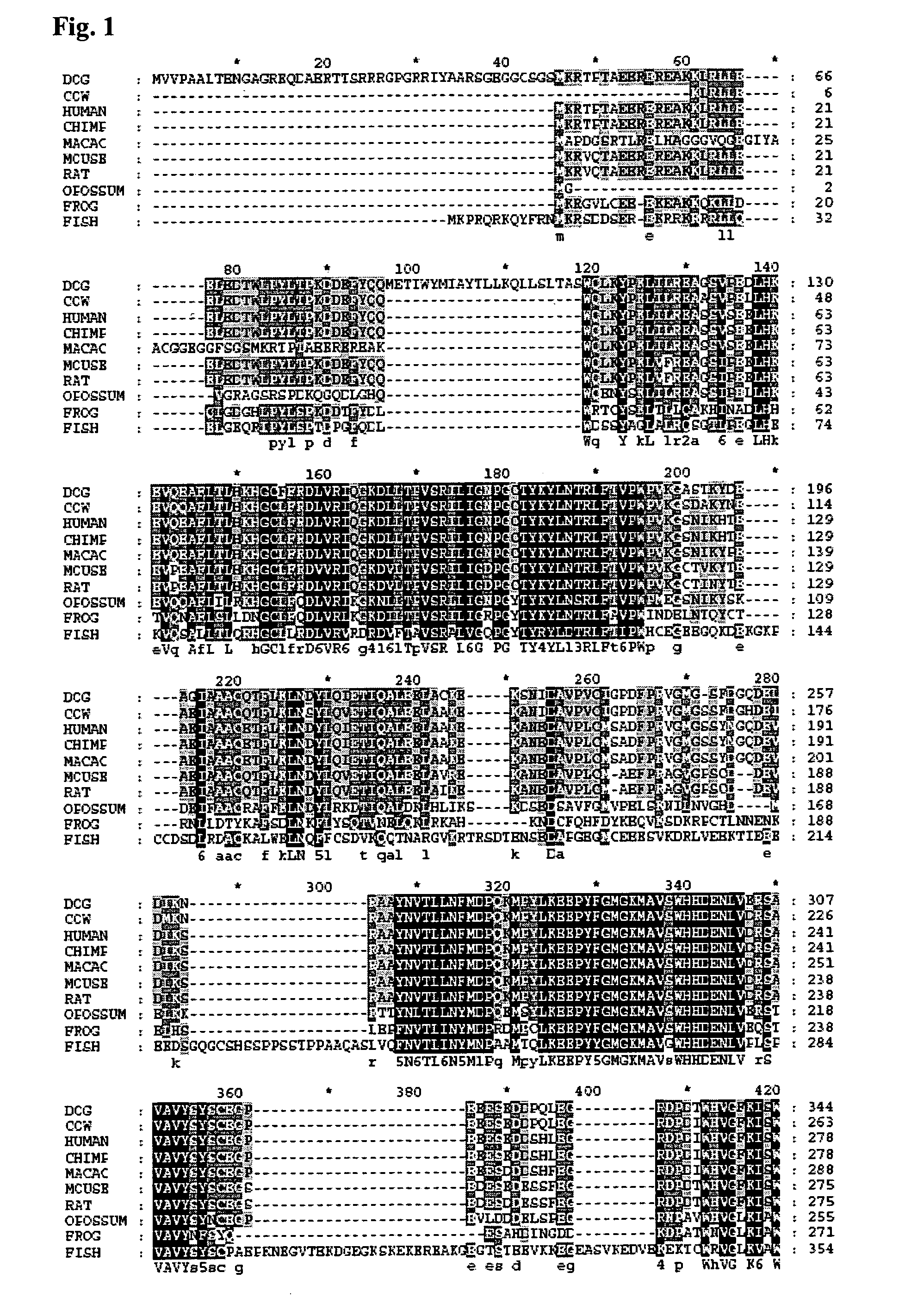 Method for Assaying FTO (2-Oxoglutarate Dependent Oxygenase) Activity