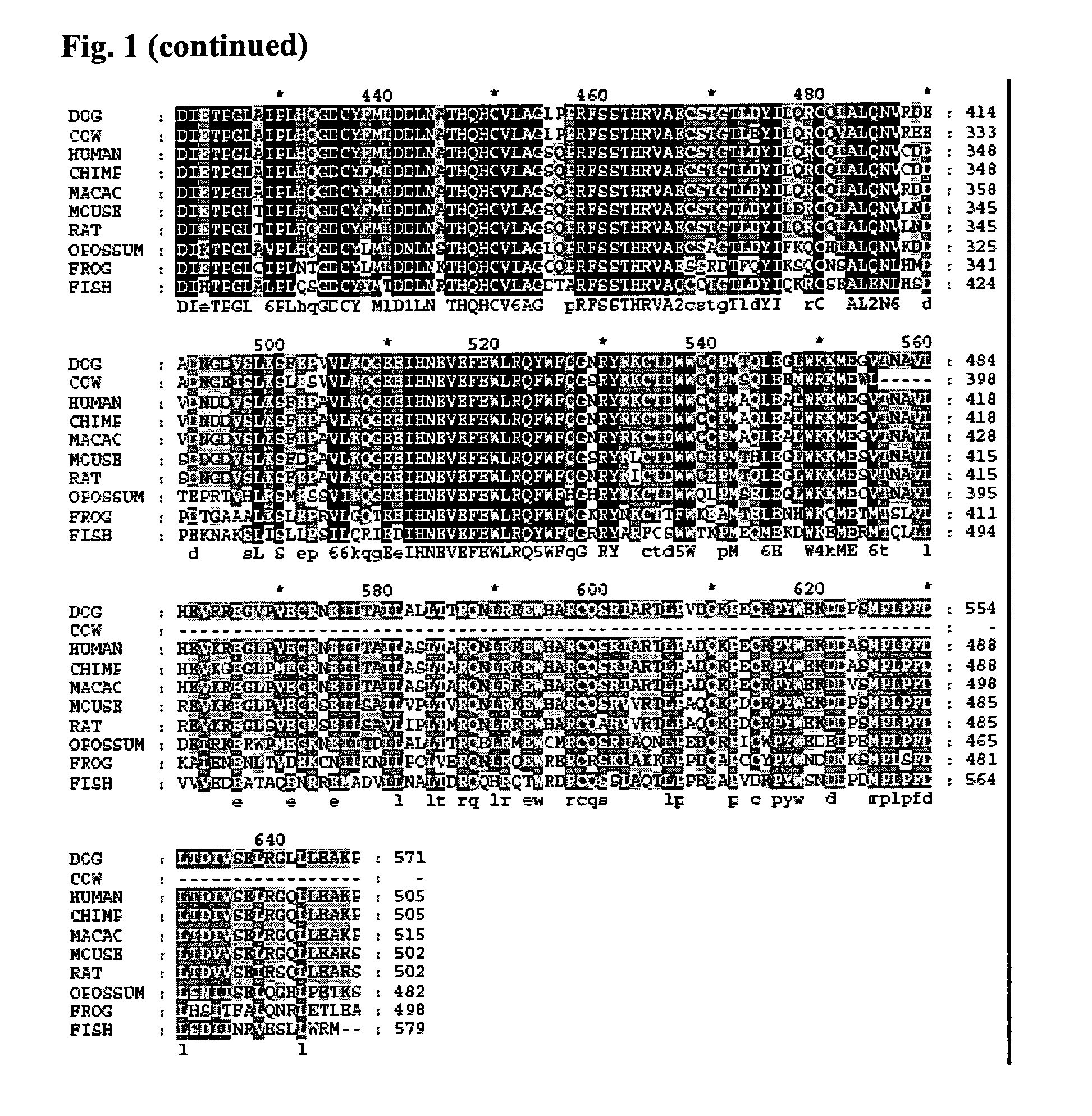 Method for Assaying FTO (2-Oxoglutarate Dependent Oxygenase) Activity