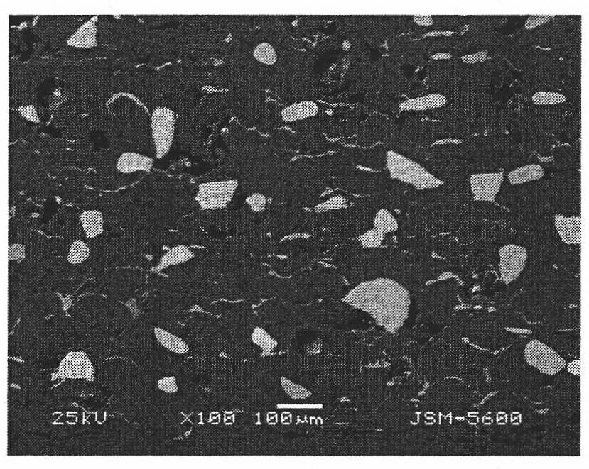 Method for preparing metallic matrix composite coating reinforced by tungsten carbide ceramics particles