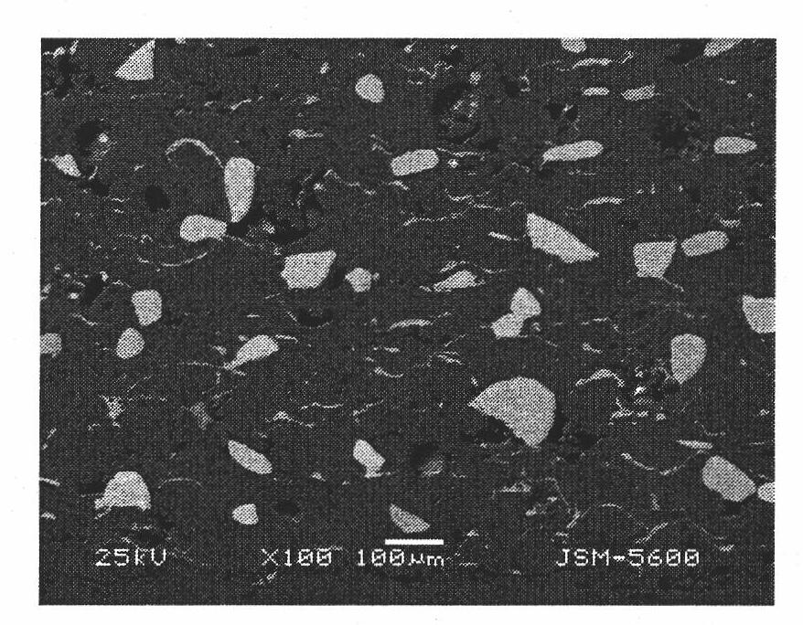 Method for preparing metallic matrix composite coating reinforced by tungsten carbide ceramics particles