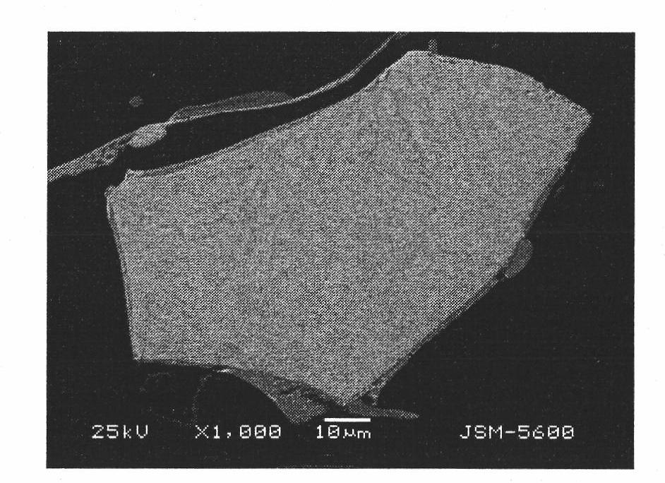 Method for preparing metallic matrix composite coating reinforced by tungsten carbide ceramics particles