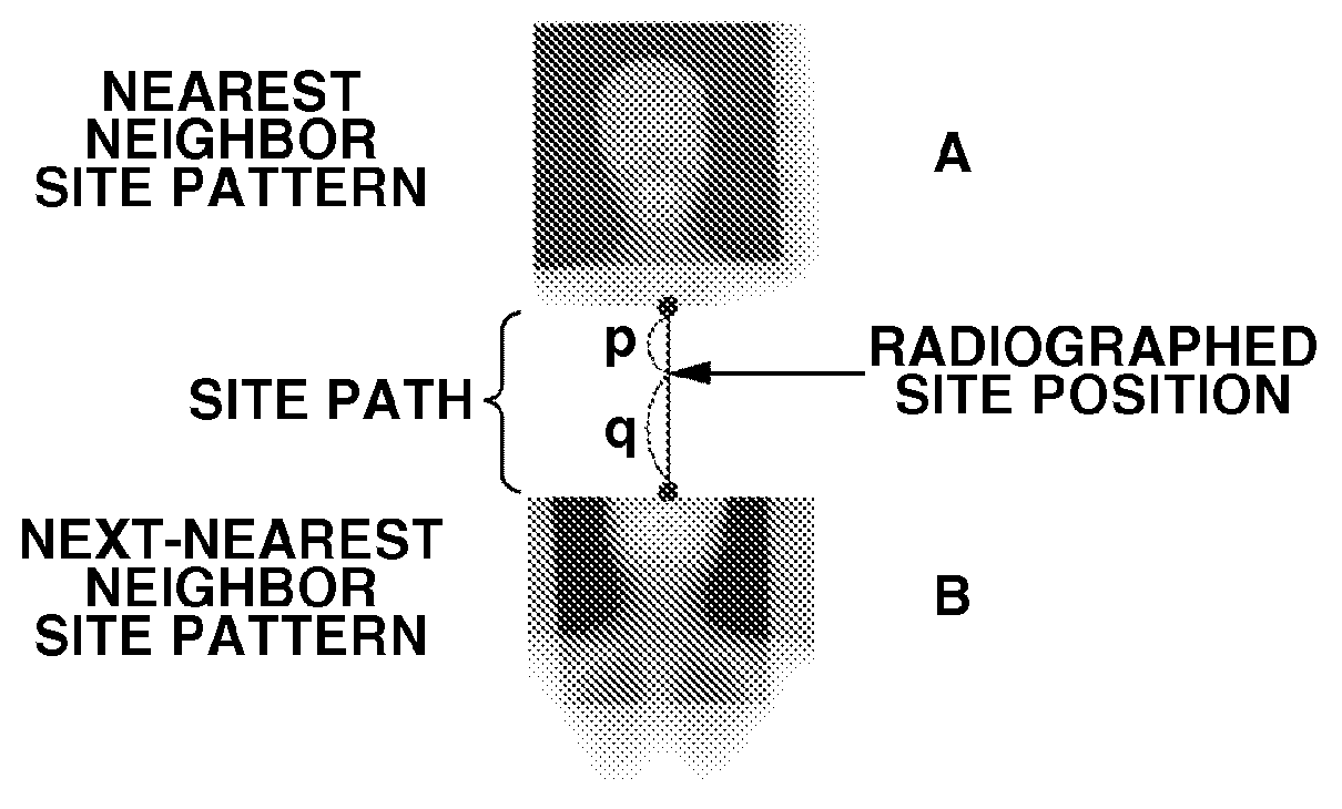 X-ray image processing apparatus and method