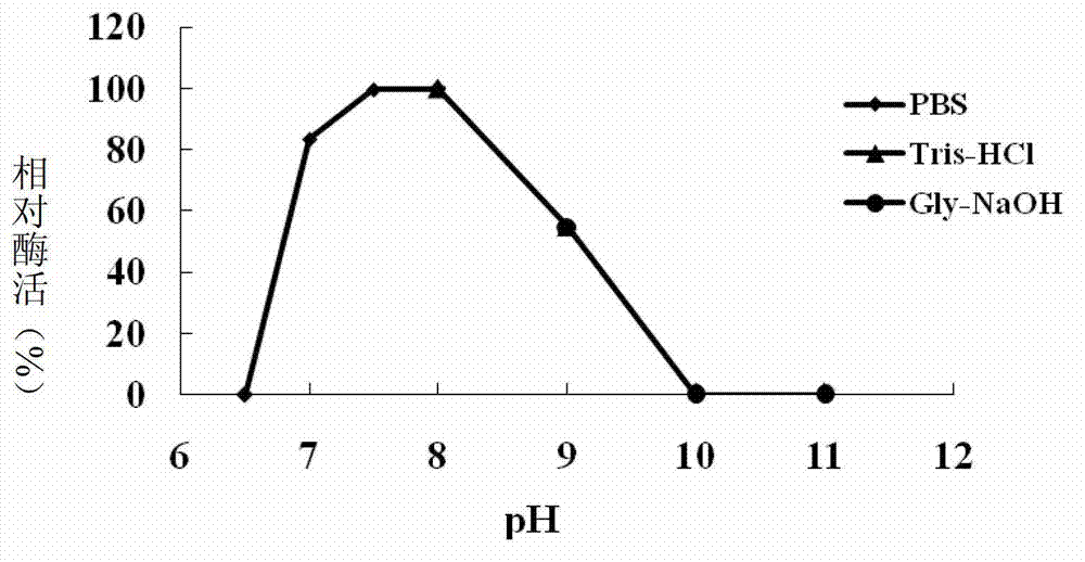 N-acylhomoserine lactonase QsdA-RH5 with substrate specificity and coding gene and application thereof