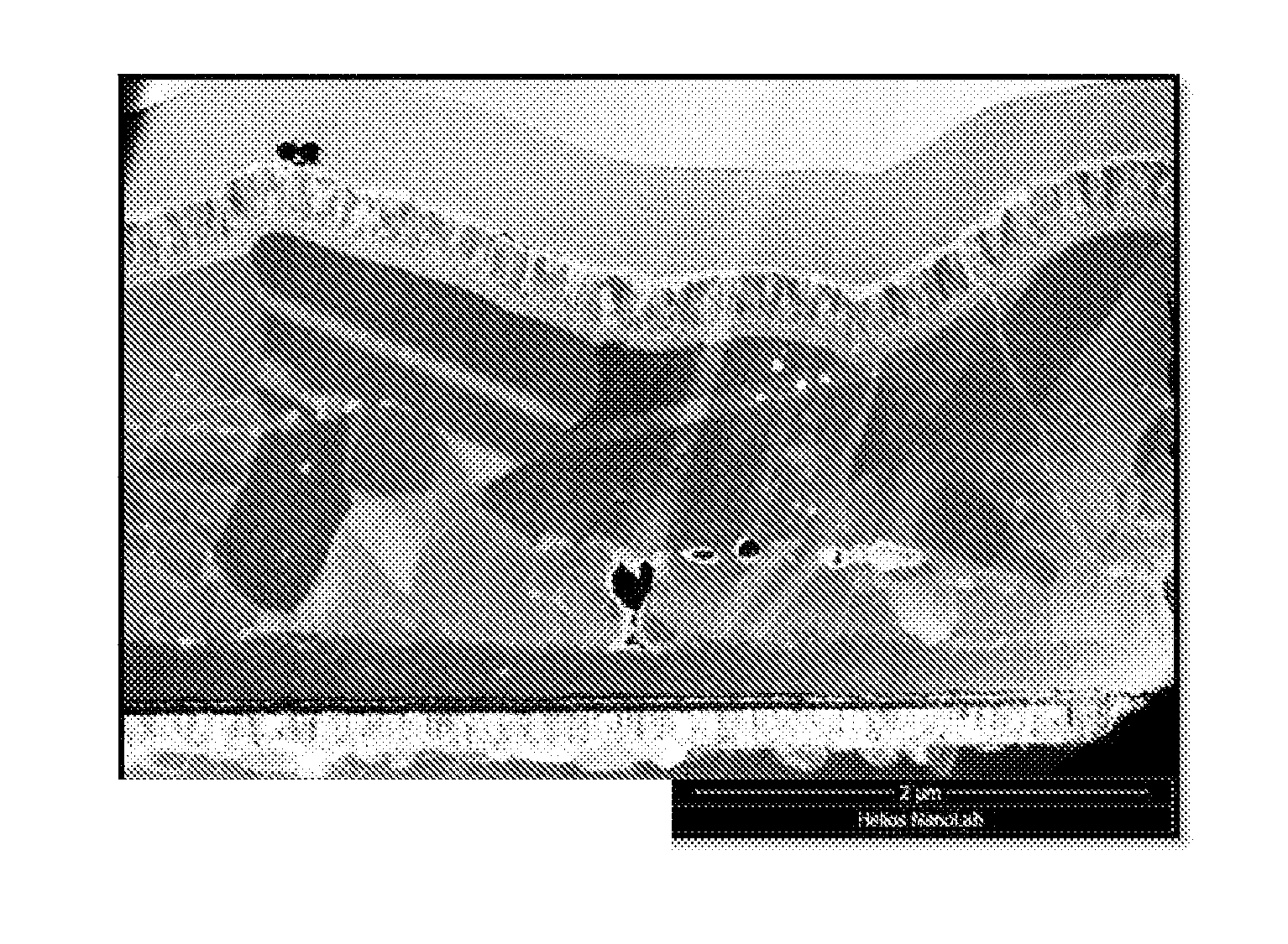 Method for preparing samples for imaging