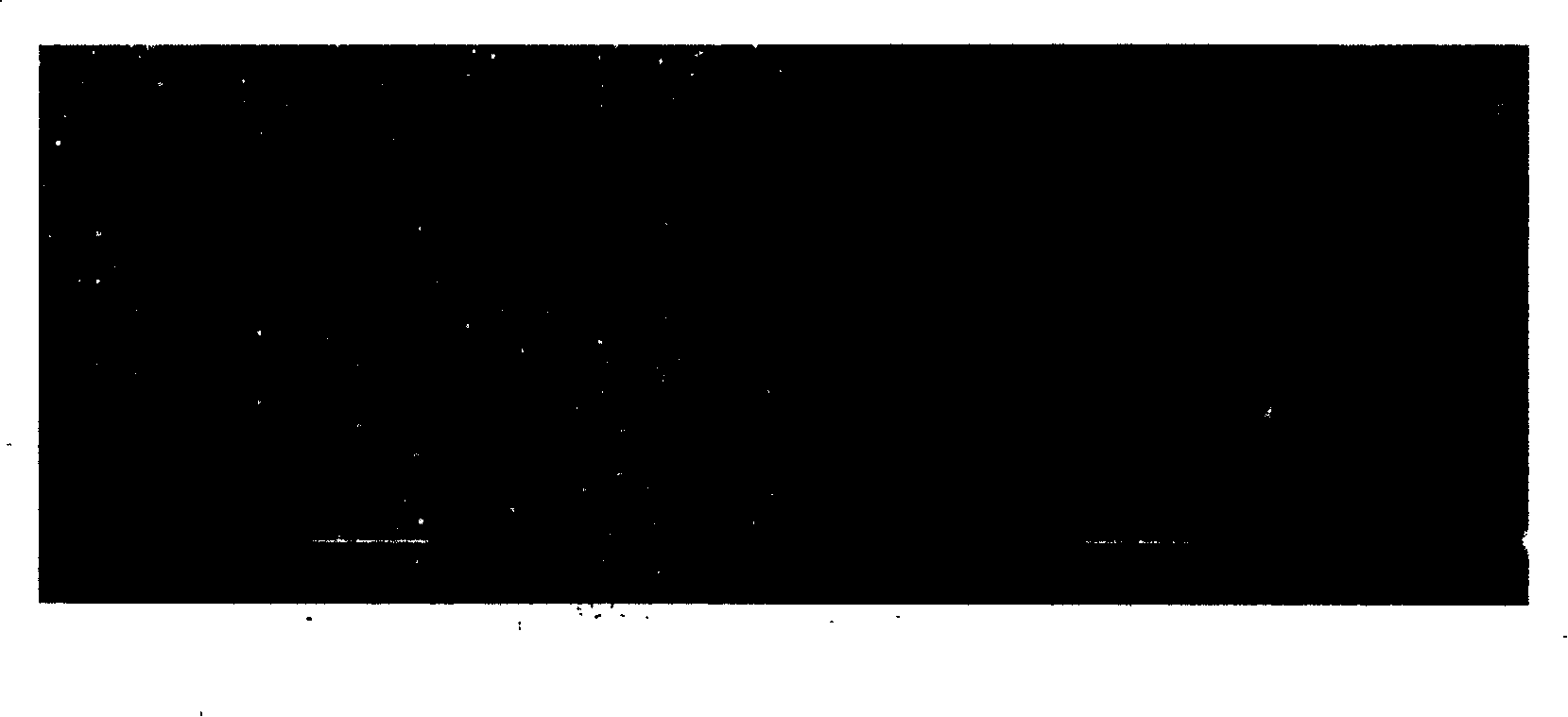 Method for preparing super-hydrophobicity membrane on silicon face