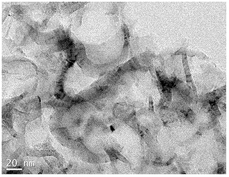 Method for preparing graphene from limestone