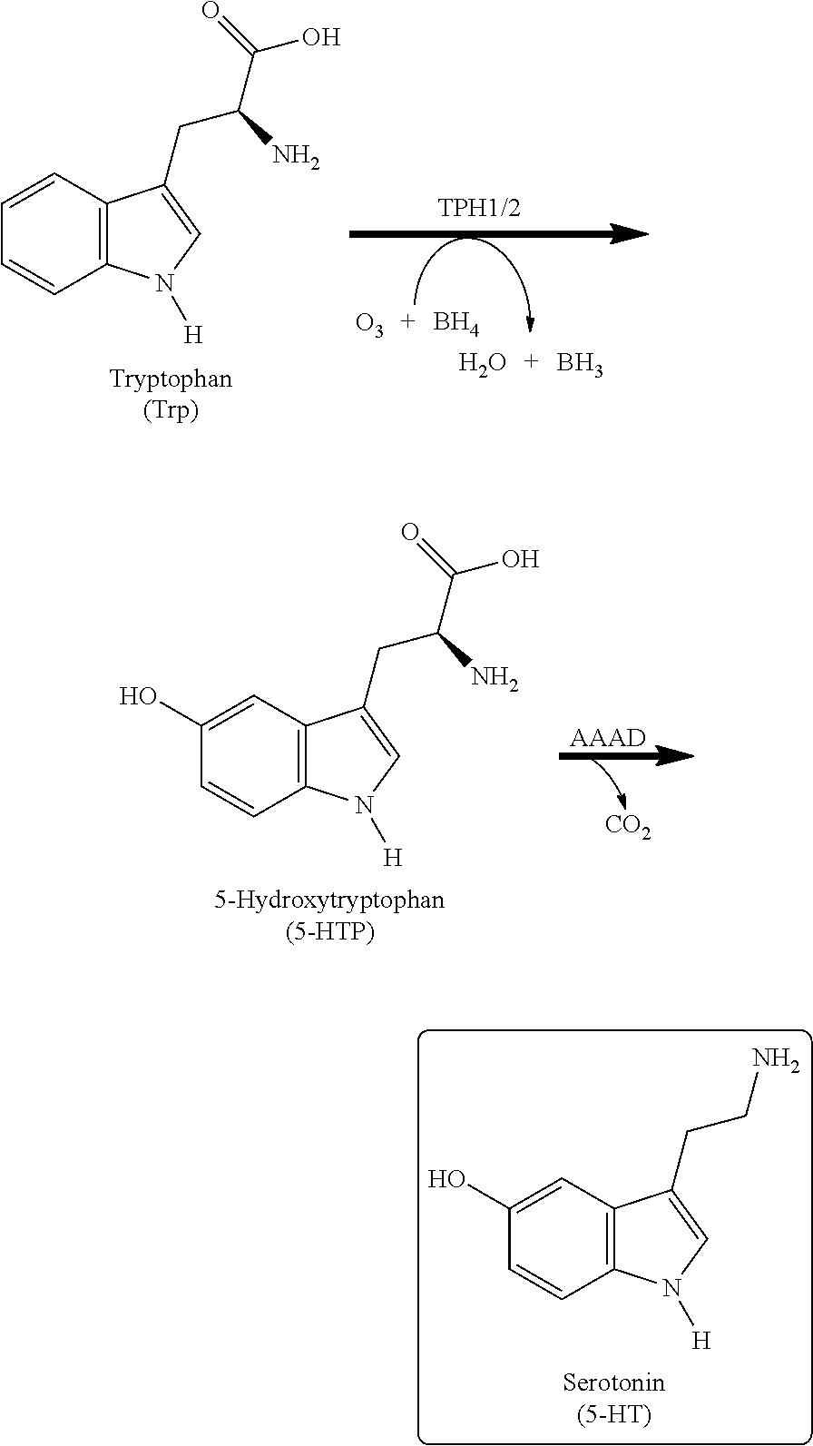 Xanthine derivatives, their use as a medicament, and pharmaceutical preparations comprising the same