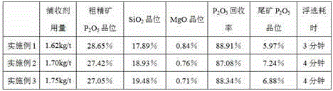 Collophanite froth flotation collecting agent and preparation method thereof