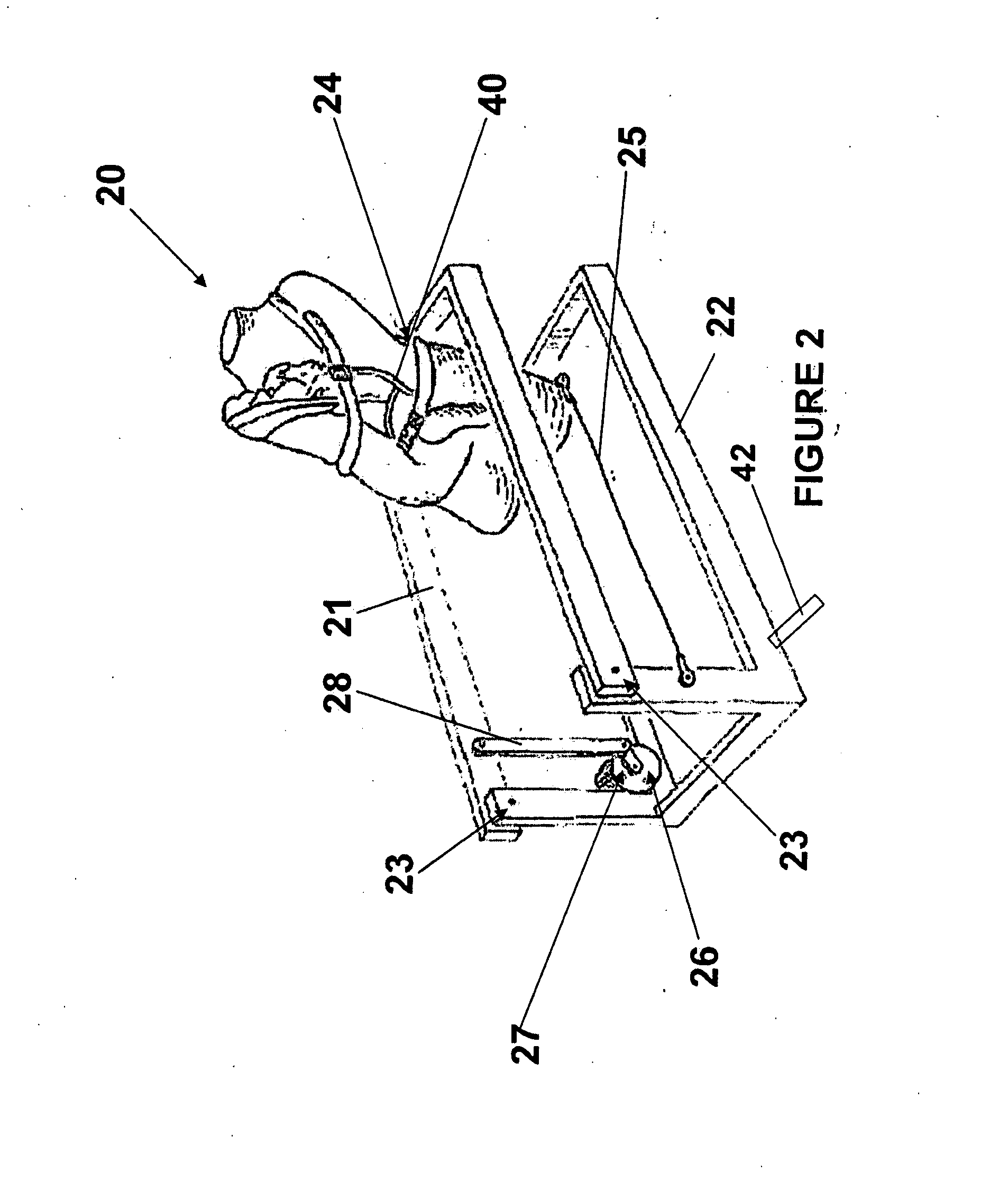 Infant soothing device and method