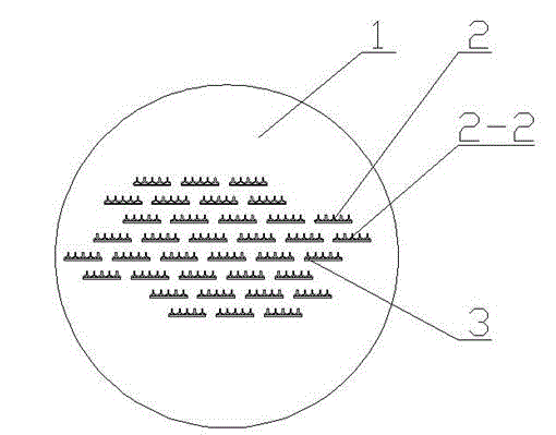 Spinneret plate