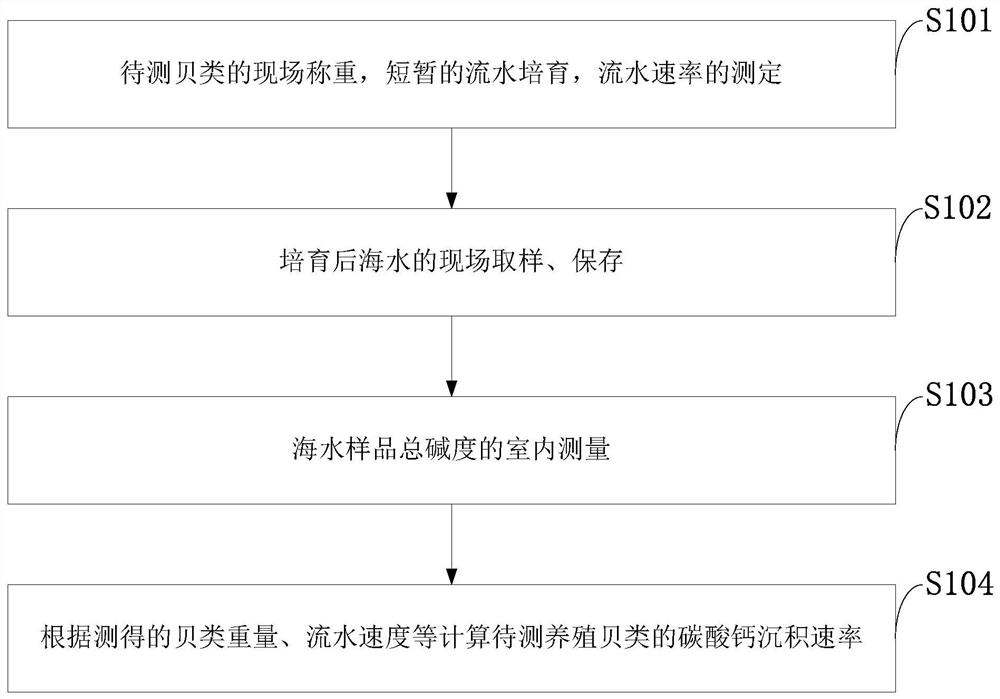 A kind of method and application of measuring calcium carbonate deposition rate of cultured shellfish