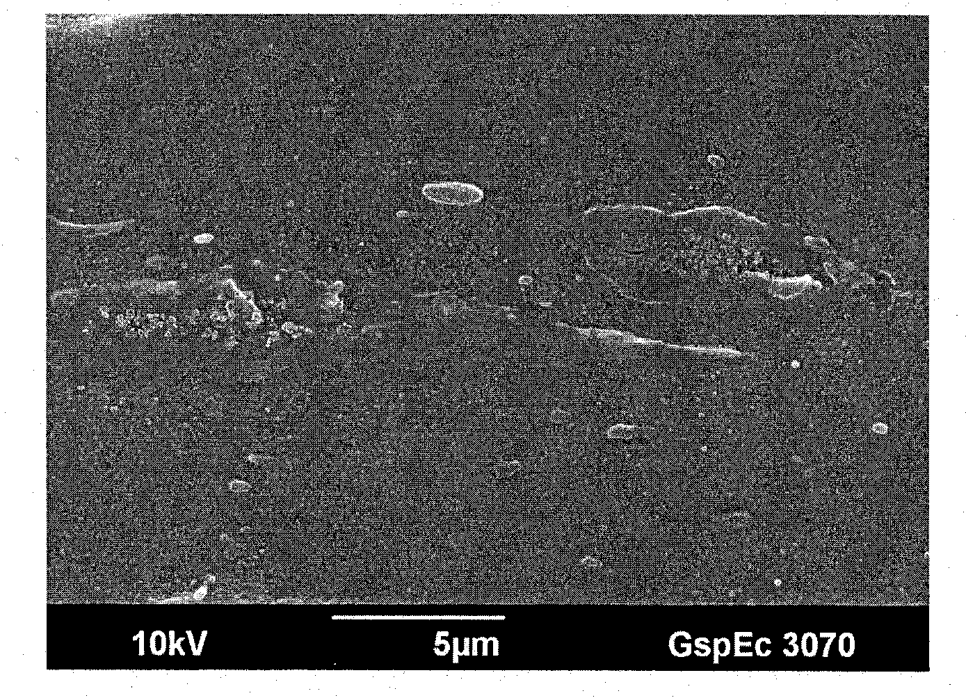 Algae-blended compositions for thermoplastic articles