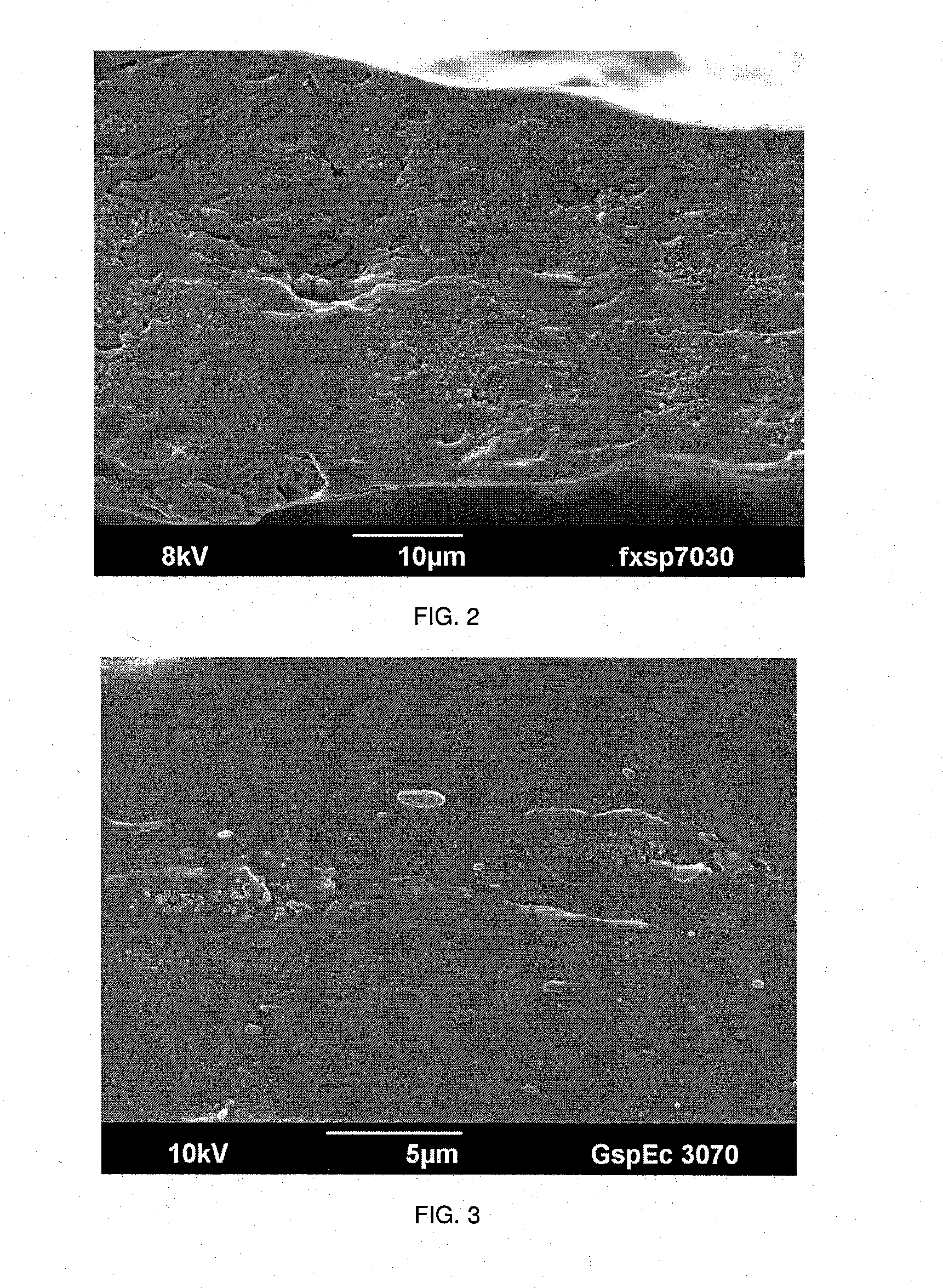 Algae-blended compositions for thermoplastic articles