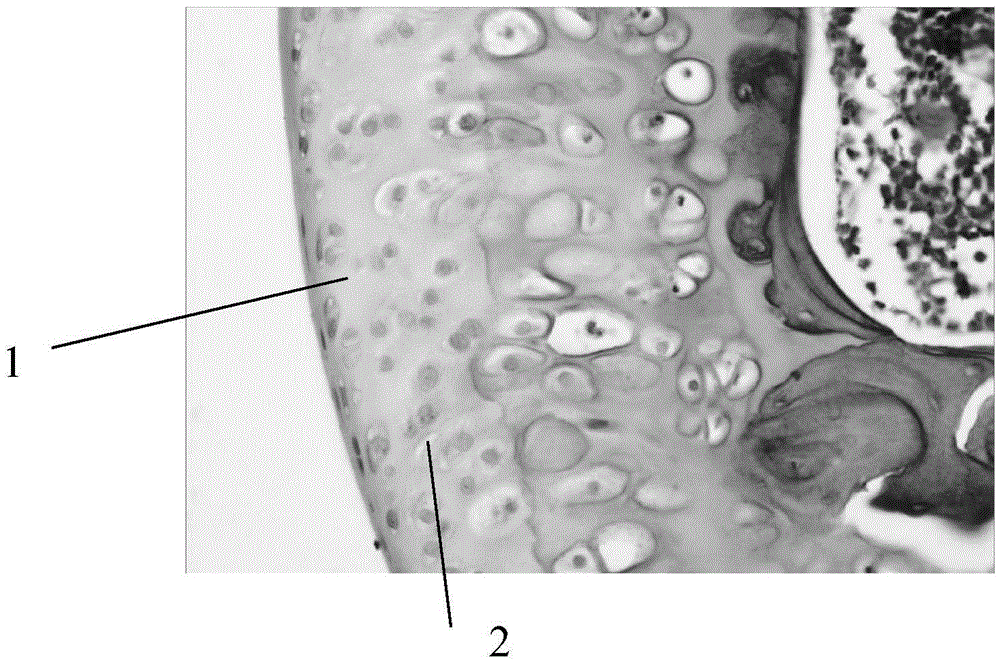 A liquid-solid composite lubricant in joints and its preparation method