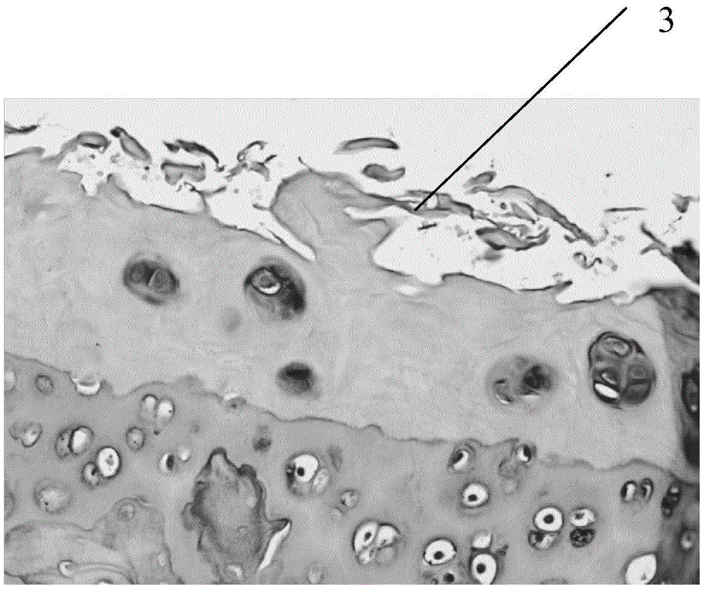 A liquid-solid composite lubricant in joints and its preparation method